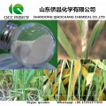 Fungicida / Agroquímico de alta eficiencia Metconazol 99% TC 60g / l SL Nº CAS: 125116-23-6